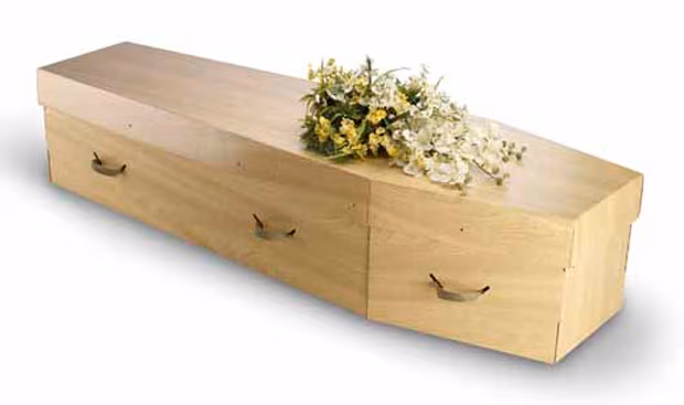Cardboard coffin