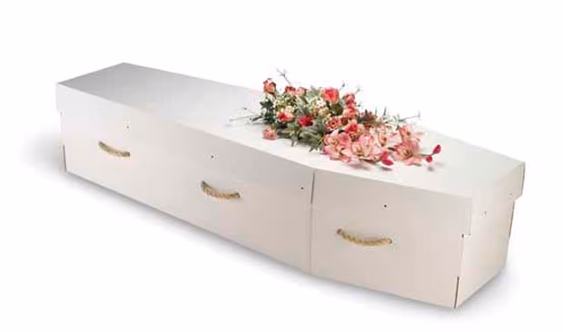 White Cardboard coffin