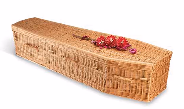 Willow coffin